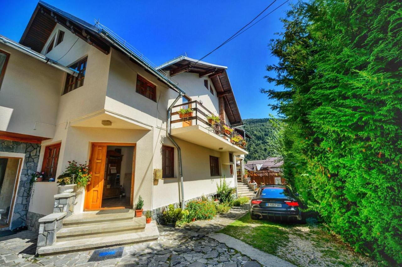 Amandra Chalet Sinaia Eksteriør billede