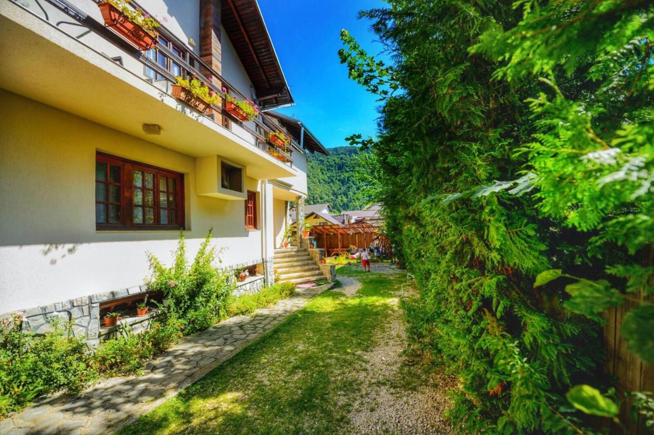 Amandra Chalet Sinaia Eksteriør billede