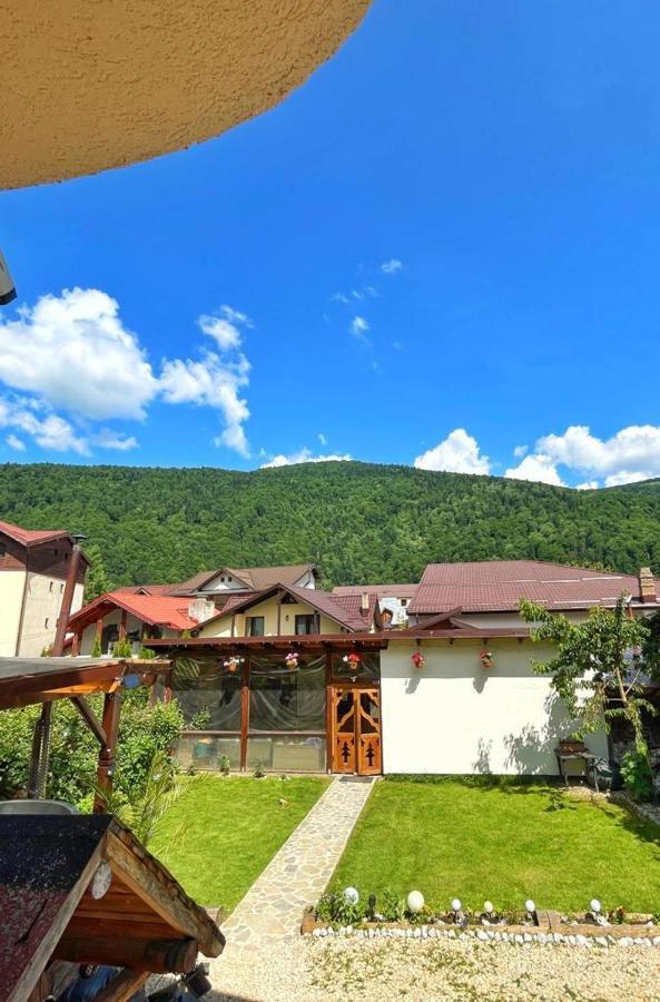 Amandra Chalet Sinaia Eksteriør billede