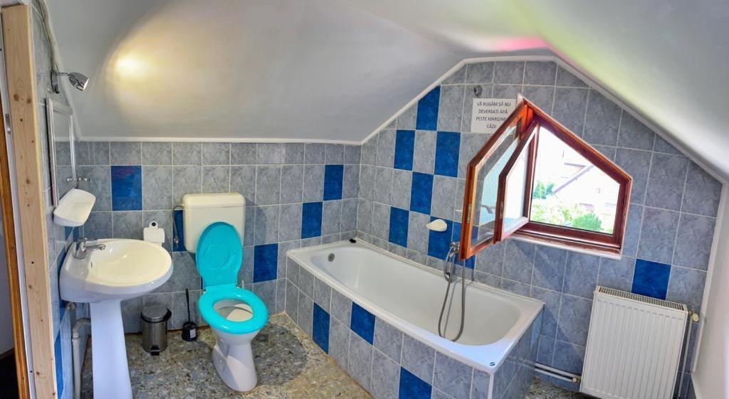 Amandra Chalet Sinaia Eksteriør billede