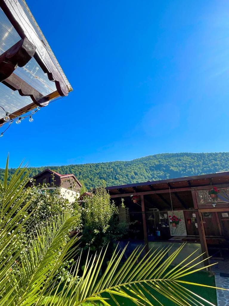 Amandra Chalet Sinaia Eksteriør billede