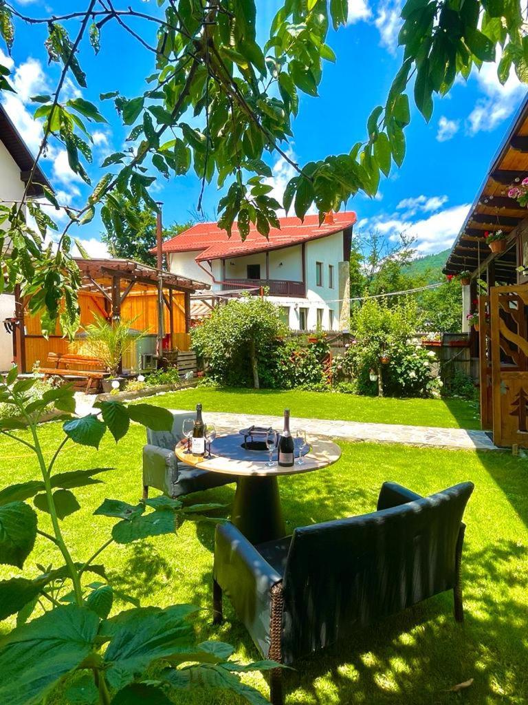 Amandra Chalet Sinaia Eksteriør billede